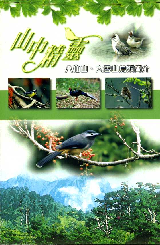 山中精靈：八仙山、大雪山鳥類簡介