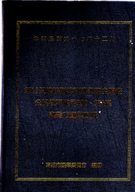 第12任總統副總統選舉暨全國性公民投