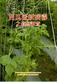 西瓜嵌紋病毒之偵察調查