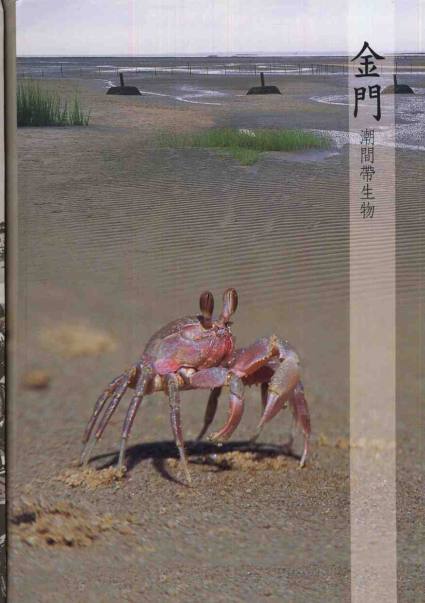 金門潮間帶生物(再版)