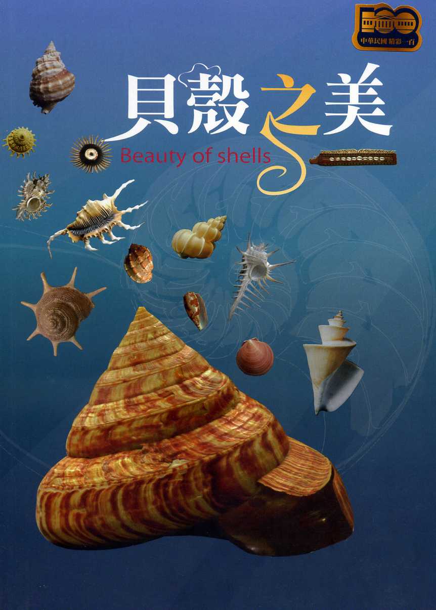 貝殼之美