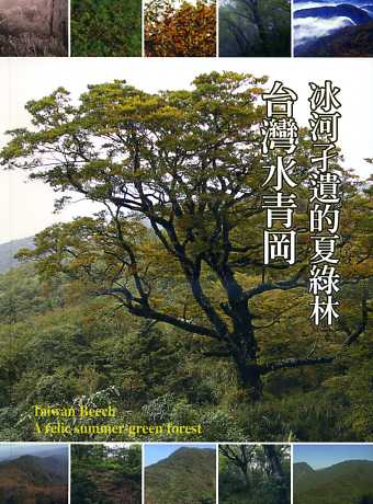 冰河孑遺的夏綠林：台灣水青岡 Taiwan Beech A relic summer-green forest(軟精裝中英文版)