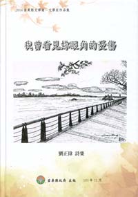 我曾看見妳眼角的憂傷－2014苗栗縣