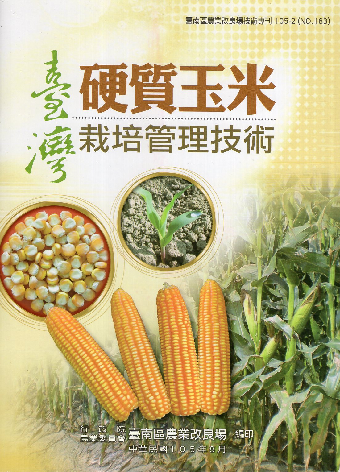 臺灣硬質玉米栽培管理技術