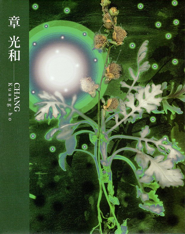 臺灣攝影家：章光和(精裝)