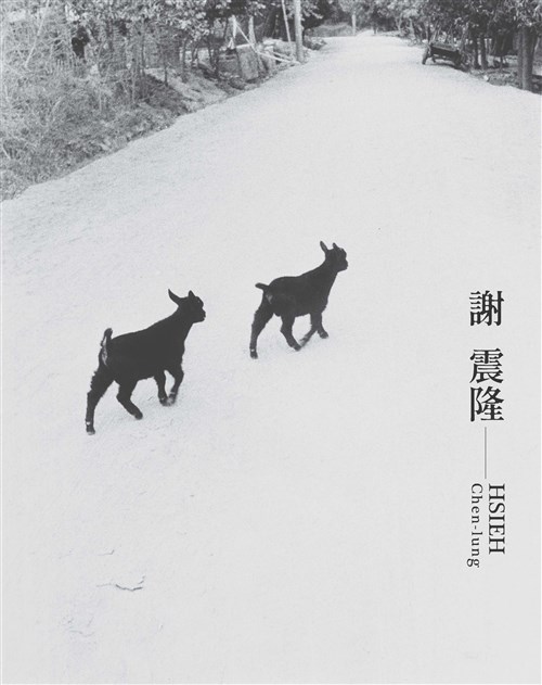 臺灣攝影家: 謝震隆(精裝)