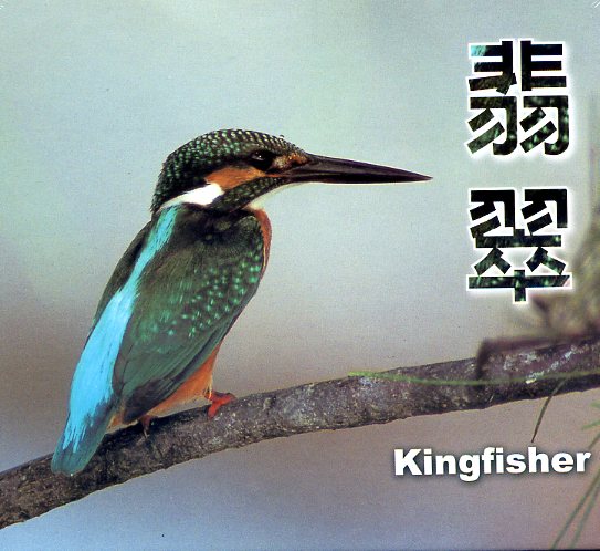 翡翠(DVD)　★第三屆國家出版獎　入選