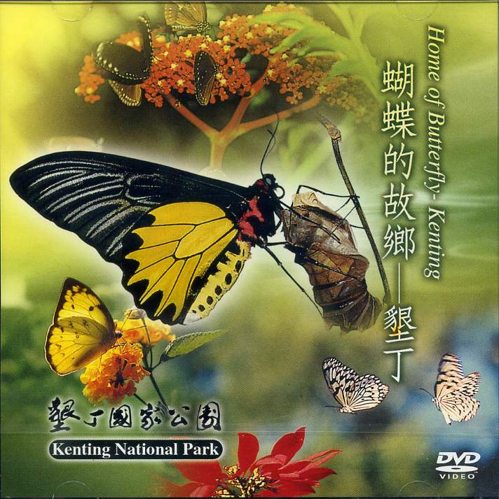 蝴蝶的故鄉_墾丁