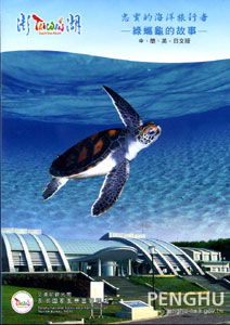 The Faithful Voyagers of the Sea—The Green Turtle Ecology Tour