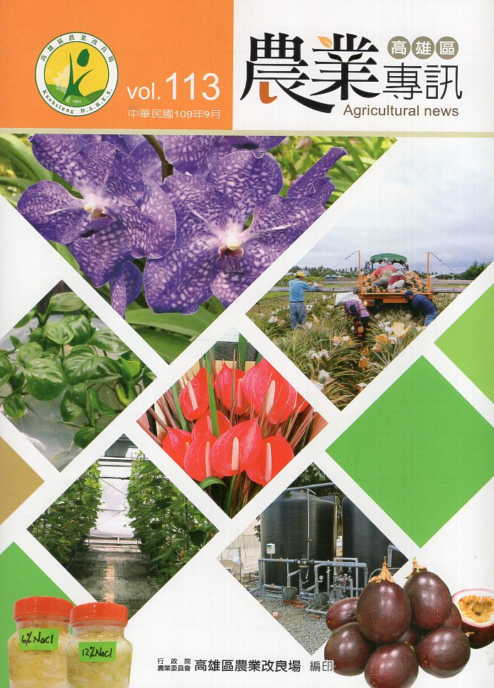 高雄區農業專訊第113期(109/0