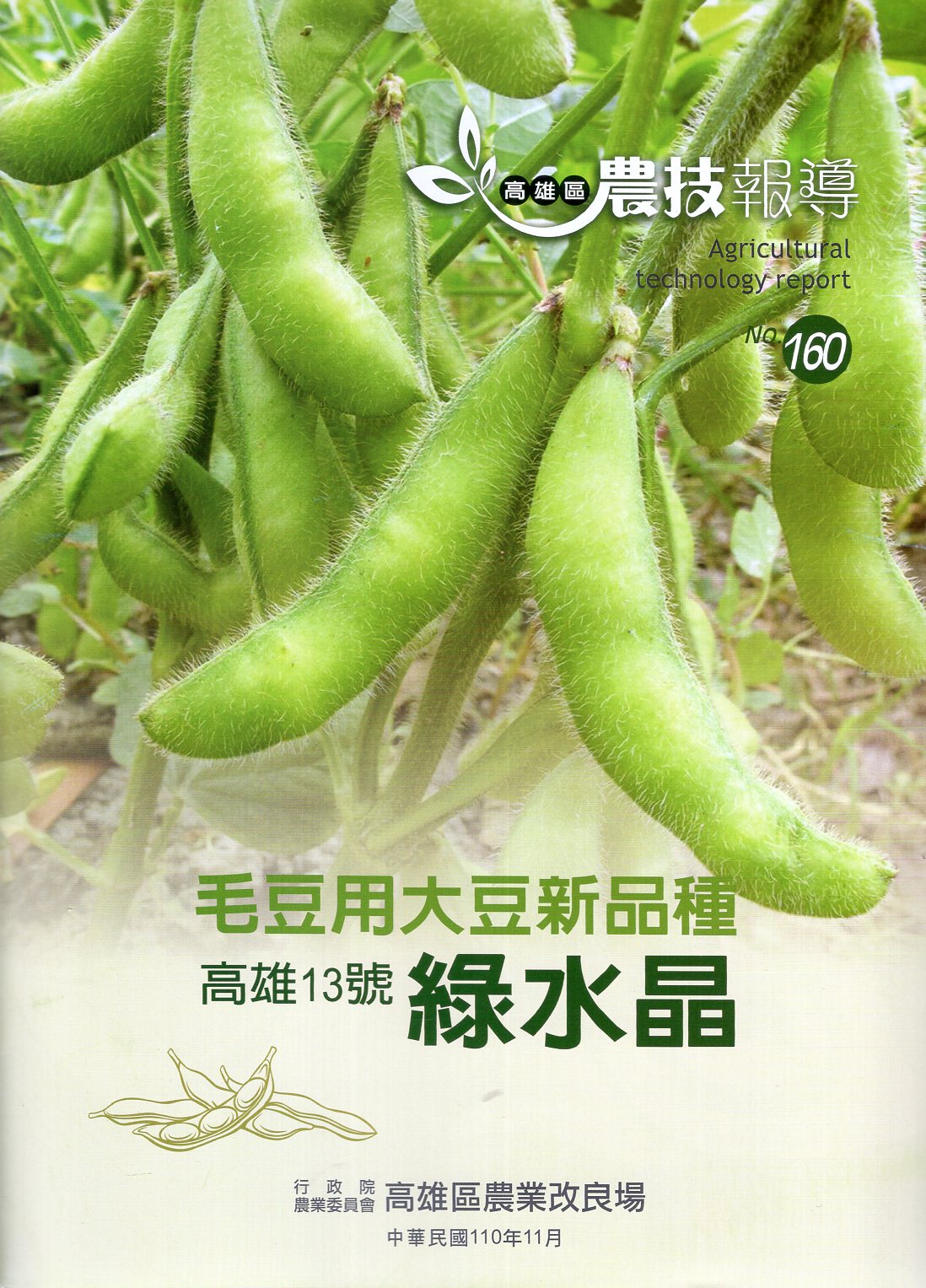 高雄區農技報導第160期：毛豆用大豆
