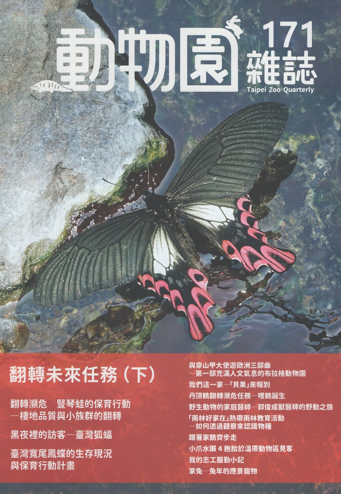 動物園雜誌第171期 Vol.43 No.3